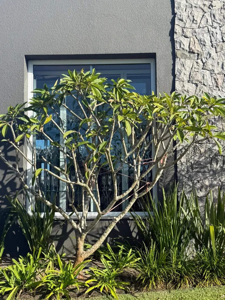Casa de condomínio em Capão da Canoa, Capão da Canoa, foto 3