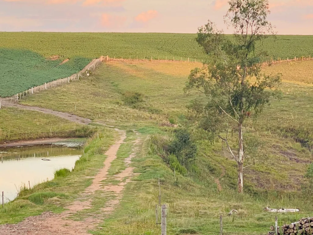 Área rural em Rural, São Pedro do Sul