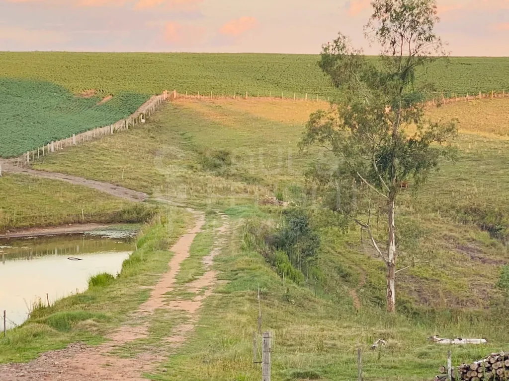 Campo em Rural, São Pedro do Sul
