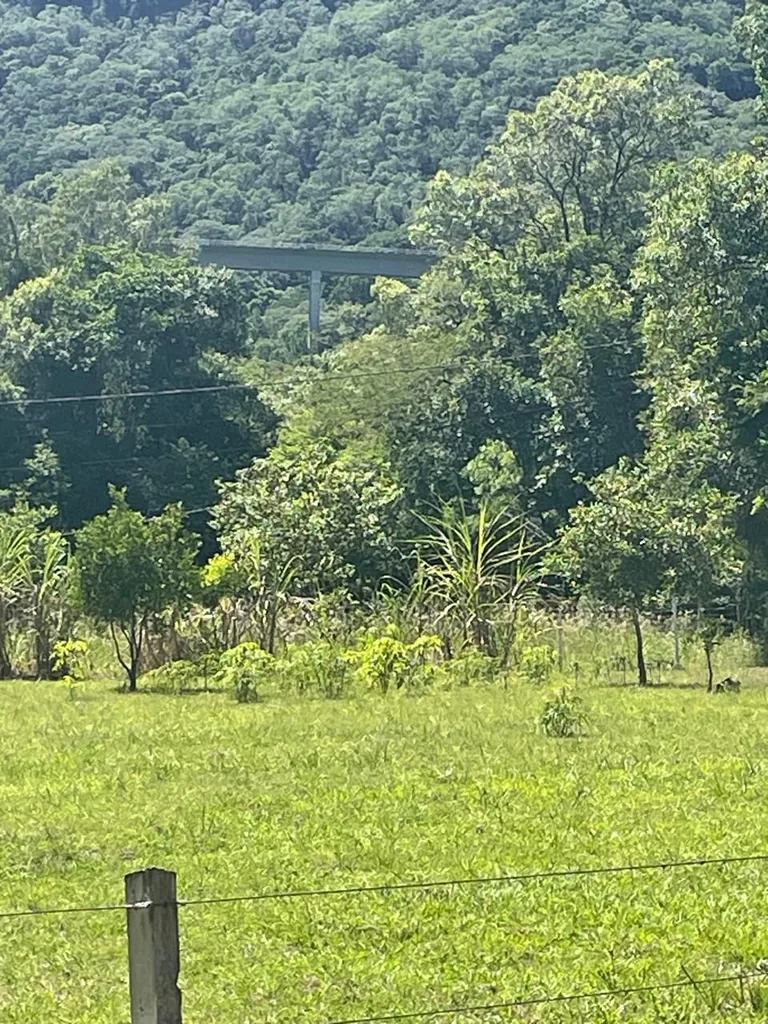 Terreno em Campestre do Menino Deus, Santa Maria, foto 2