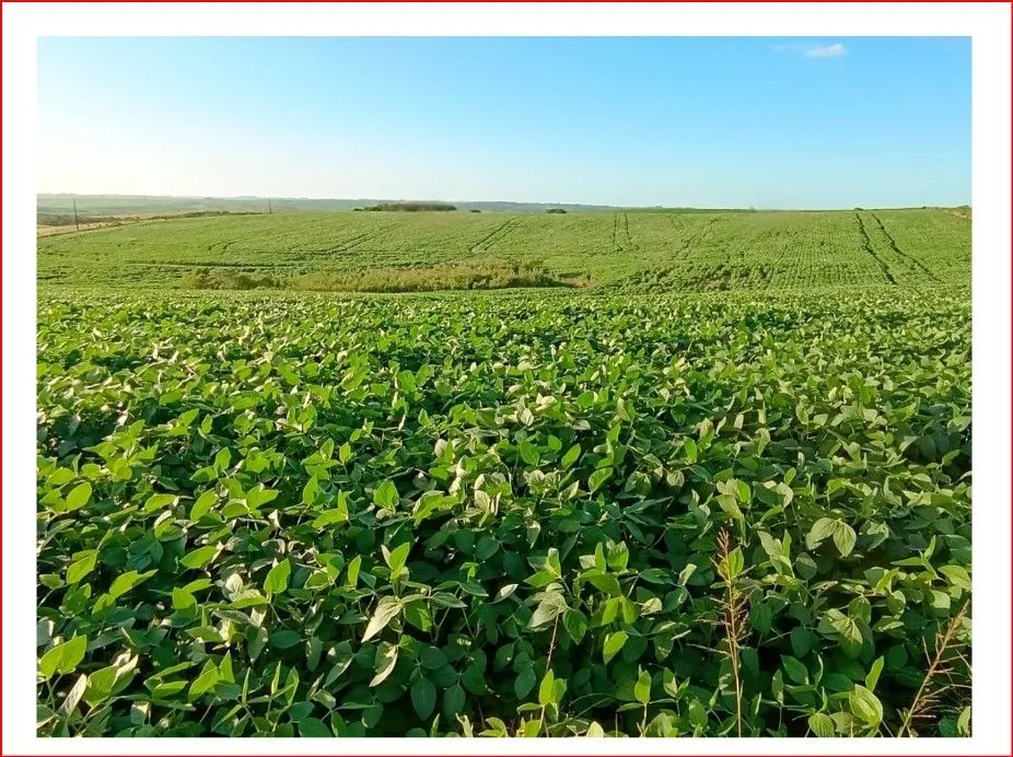 Área rural em Interior, Júlio de Castilhos