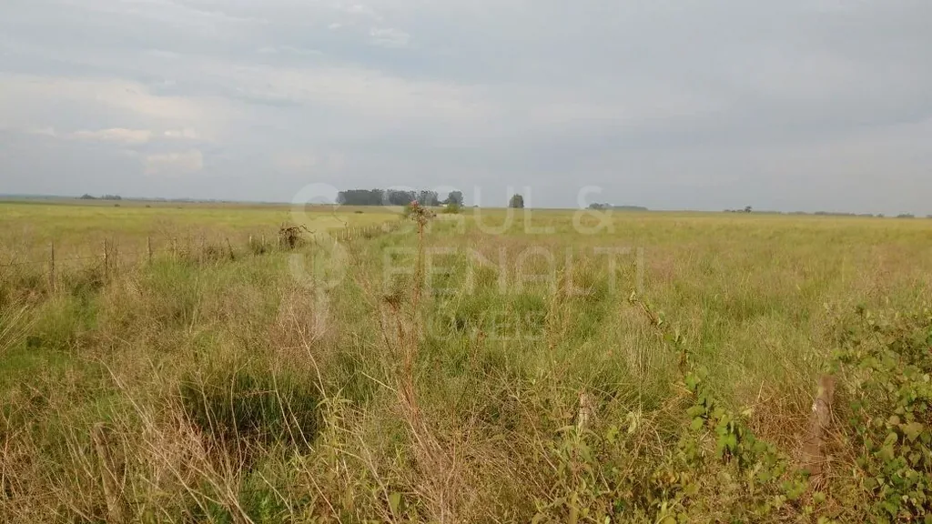 Fazenda em Santa Maria, Santa Maria