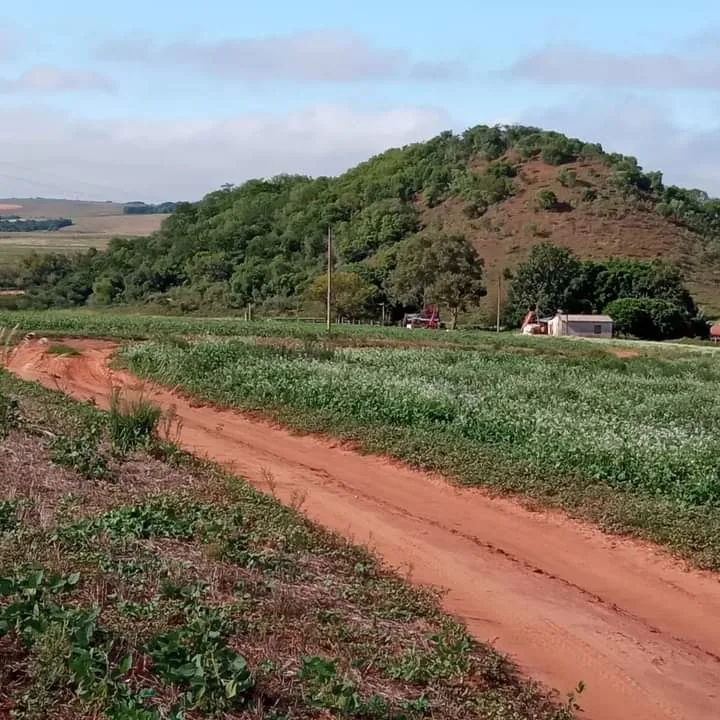 Área rural em Zona Rural, São Francisco de Assis, foto 2