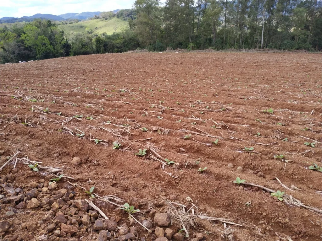 Sítio em Zona rural, Toropi, foto 2