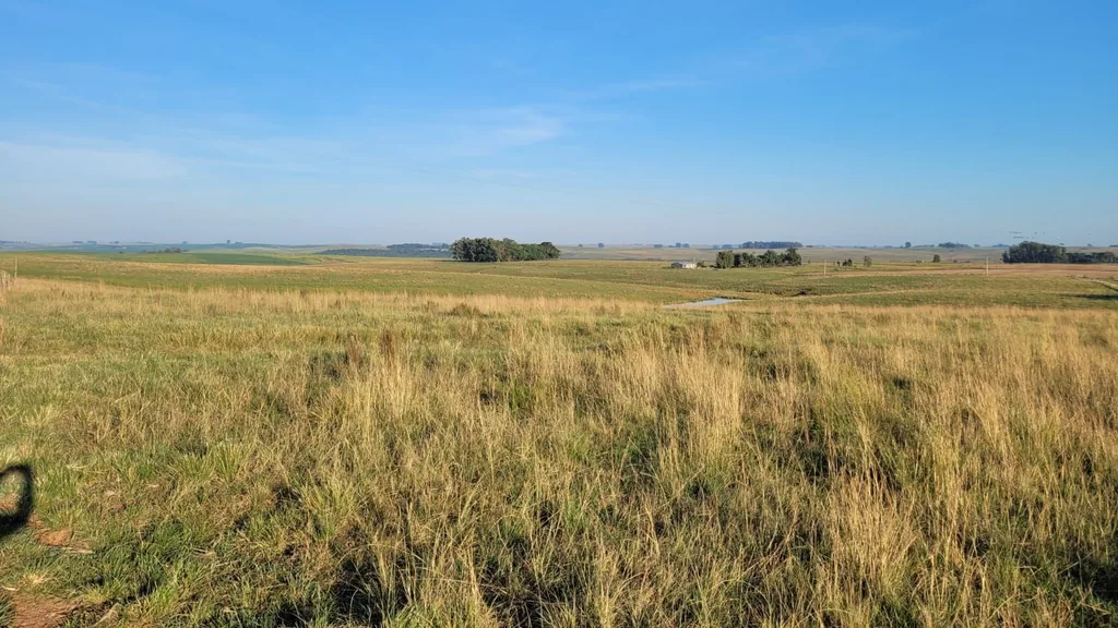 Área rural em Corredor da Balança, São Gabriel, foto 3