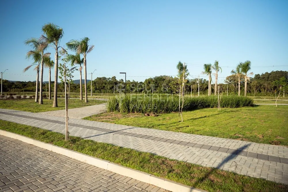 Terreno em Camobi, Santa Maria, foto 3