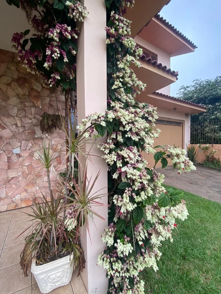 Casa em Camobi, Santa Maria, foto 3