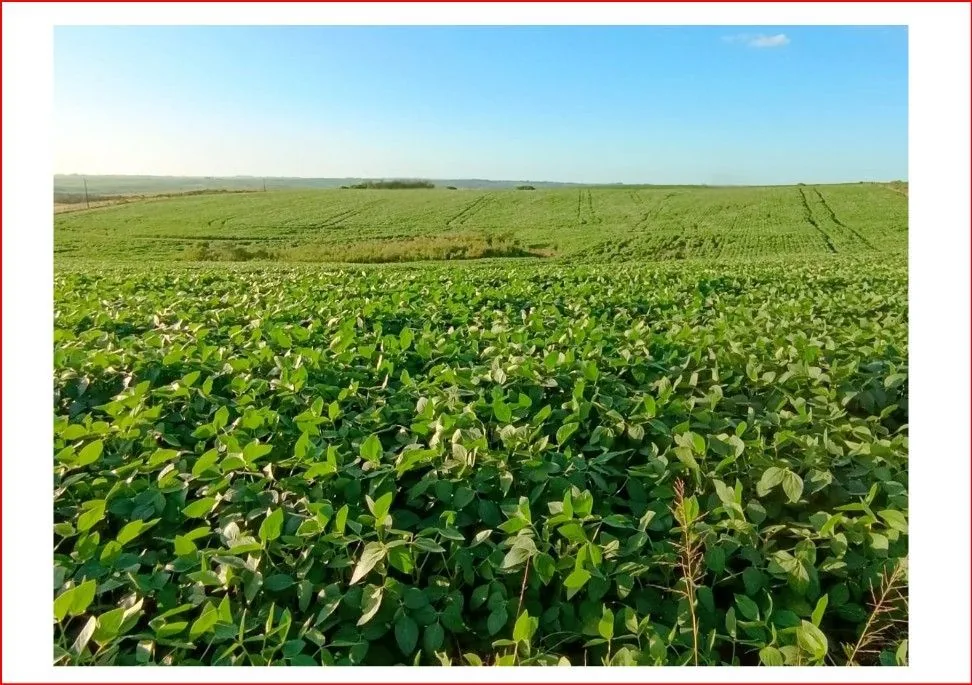 Área rural em Interior, Júlio de Castilhos, foto 2