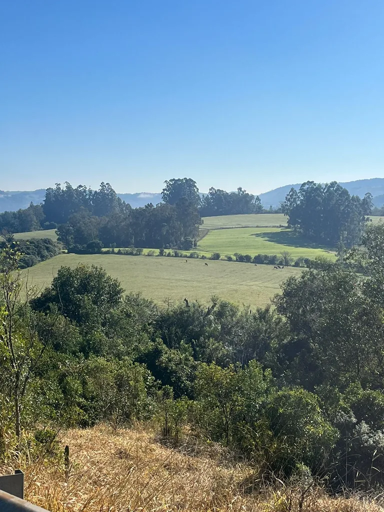 Área rural em Zona rural, Jaguari, foto 2
