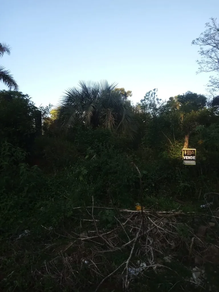 Terreno em Chácara das Flores, Santa Maria, foto 2