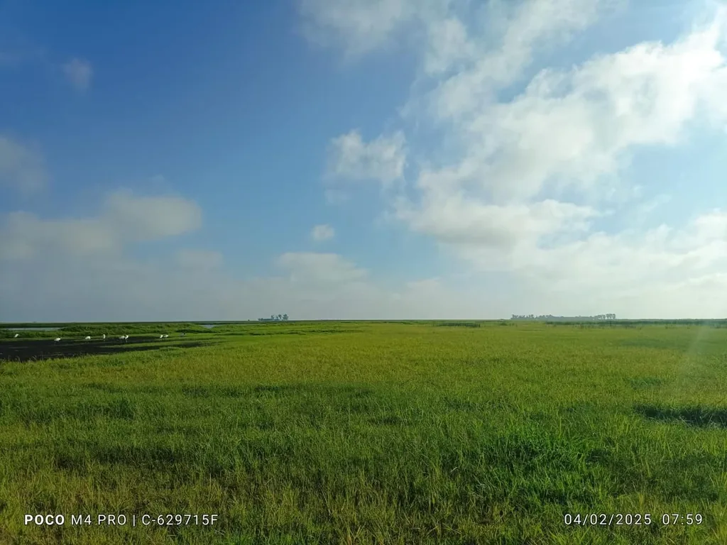 Área rural em Zona Rural, Cacequi