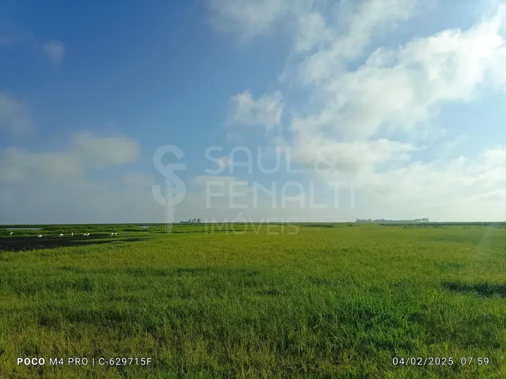 Campo em Zona Rural, Cacequi