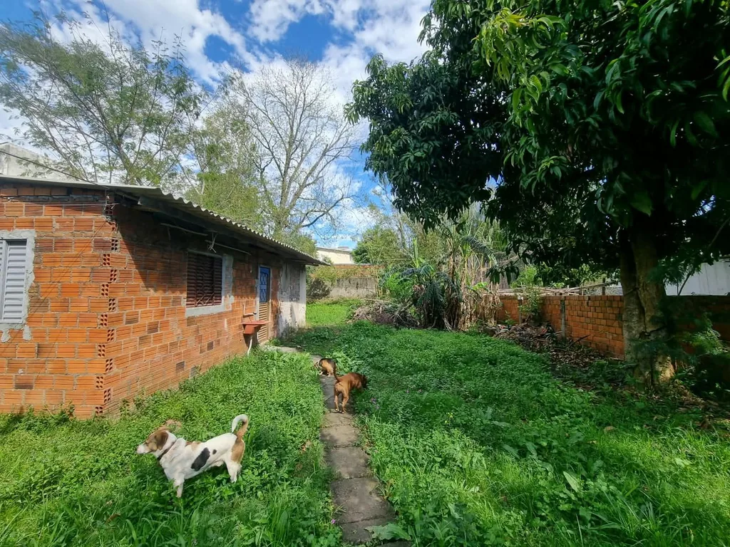 Terreno em Passo D'Areia, Santa Maria, foto 3