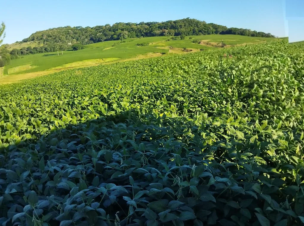 Área rural em Santo Antão, Santa Maria, foto 3