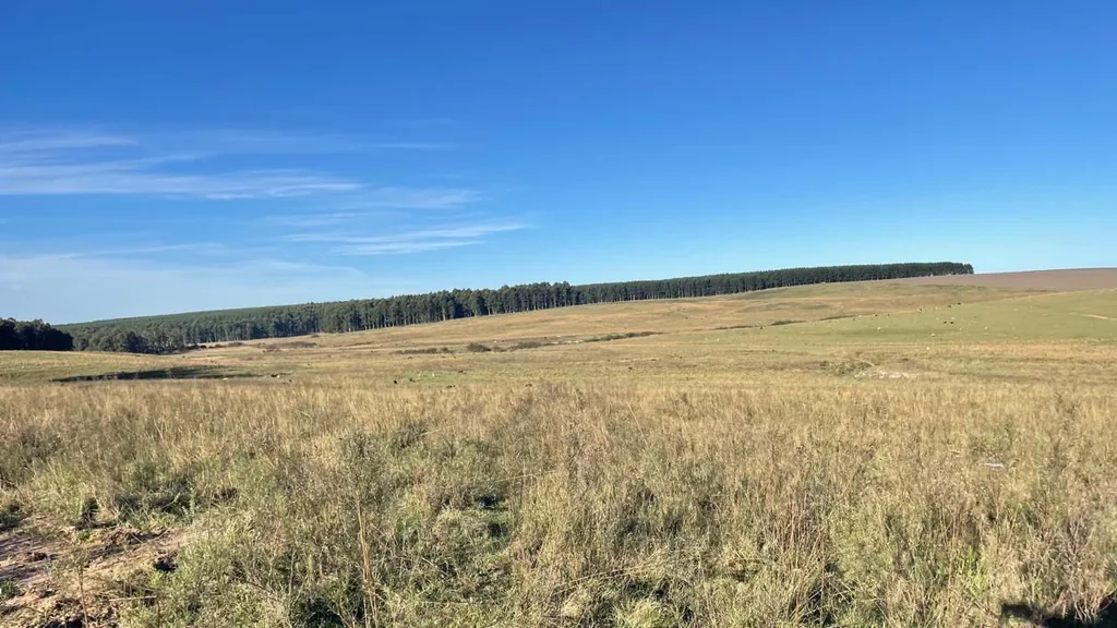 Sítio em Zona Rural, Cacequi