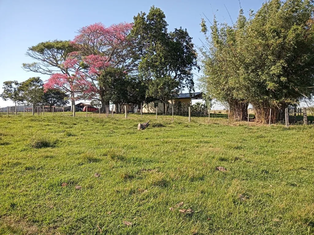 Sítio em Interior, São Gabriel, foto 1