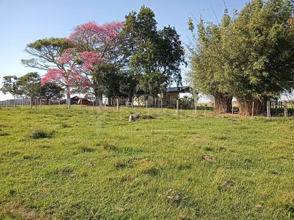 Fazenda em Interior, São Gabriel