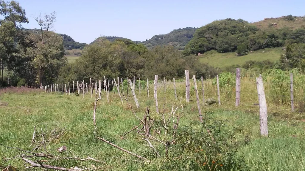 Área rural em Santo Antão, Santa Maria, foto 1