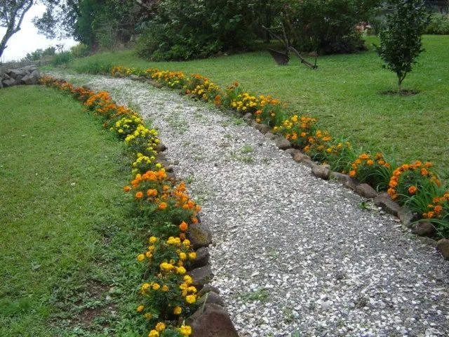 Sítio em Agro-Industrial, Santa Maria, foto 2