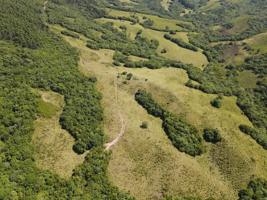 Sítio em Zona rural, Caçapava do Sul, foto 3