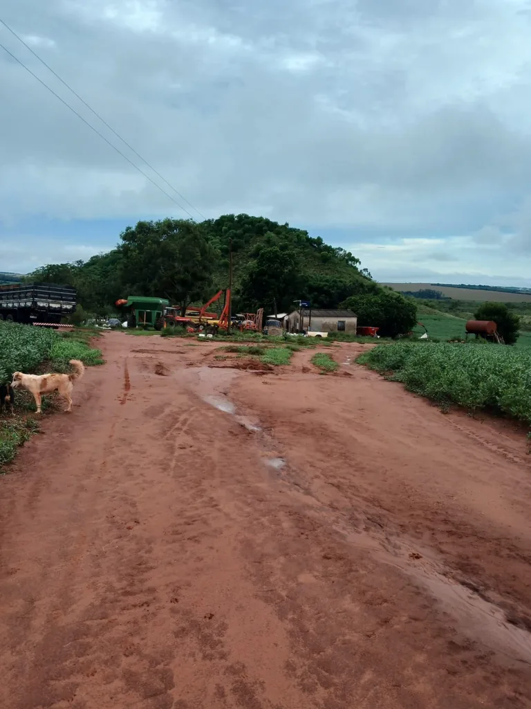 Área rural em Zona Rural, São Francisco de Assis, foto 3