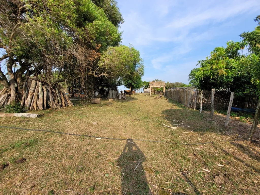 Sítio em Zona rural, Formigueiro, foto 3
