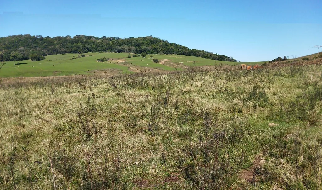 Área rural em Santo Antão, Santa Maria, foto 2