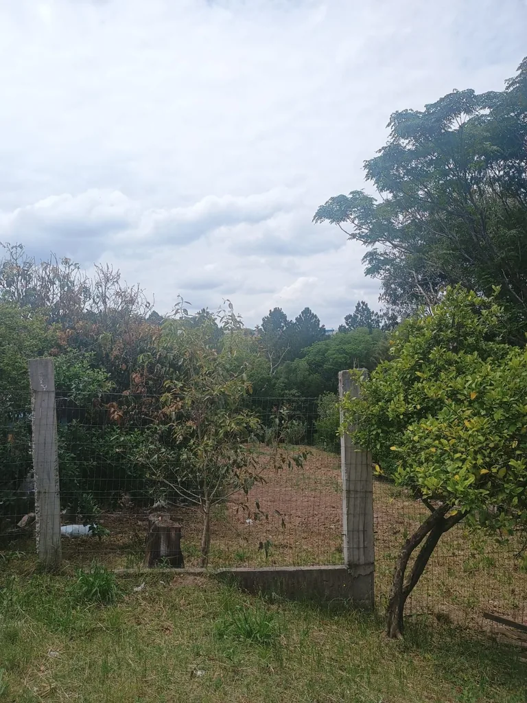 Terreno em Caturrita, Santa Maria, foto 3