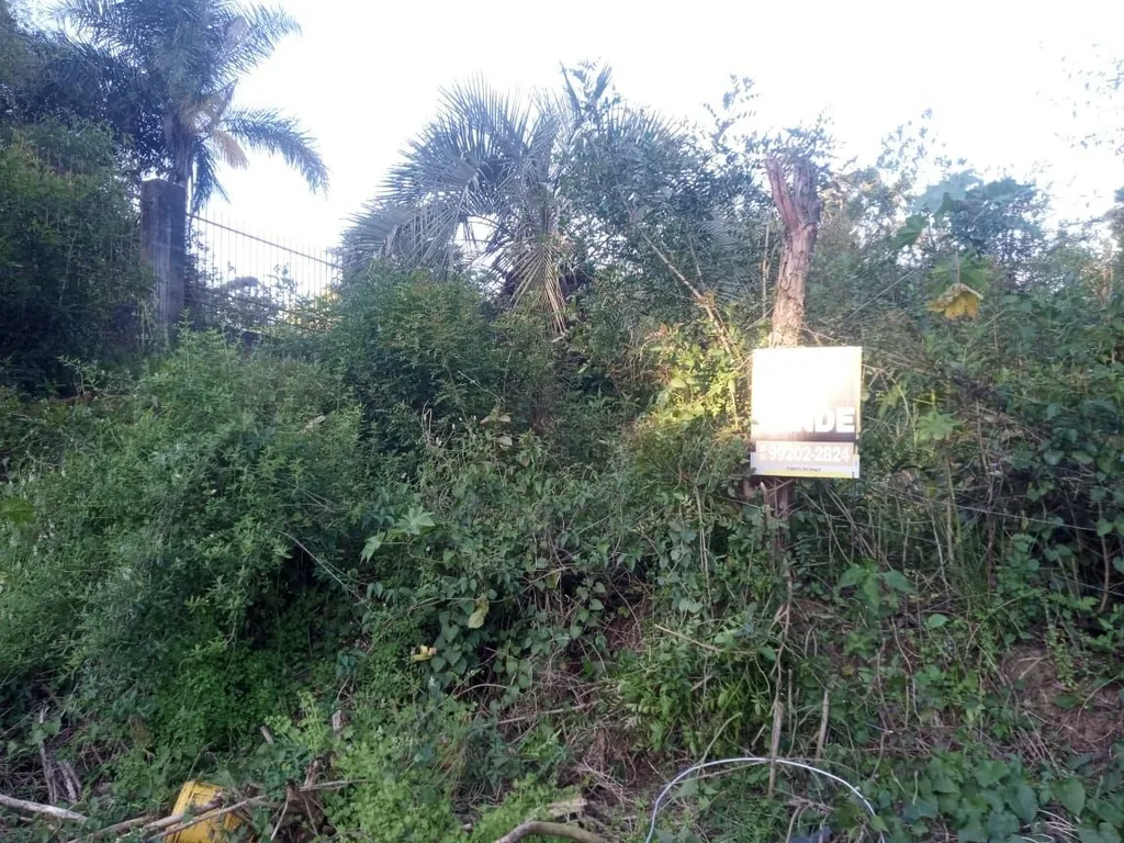Terreno em Chácara das Flores, Santa Maria, foto 1