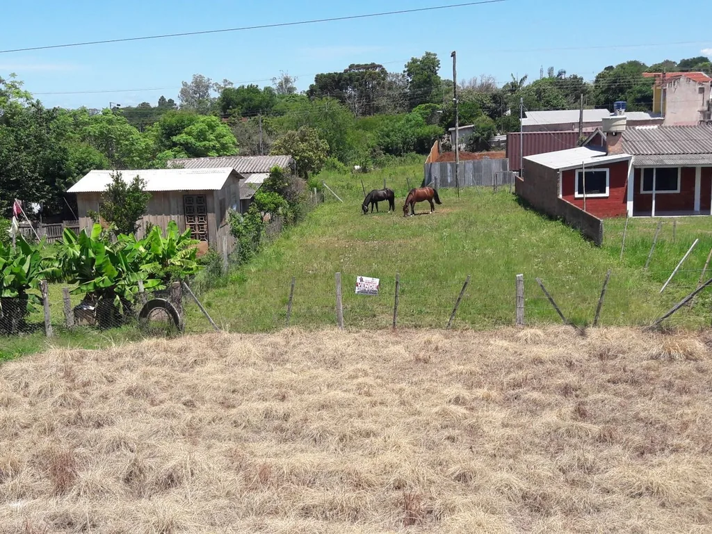 Terreno em Boi Morto, Santa Maria, foto 2