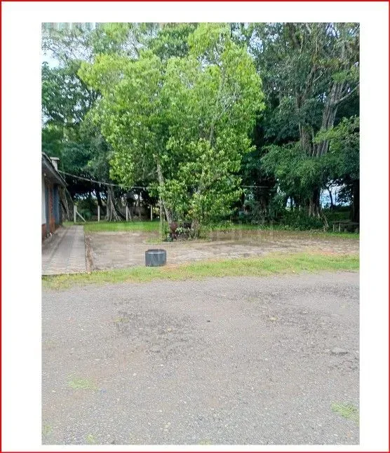 Campo em Centro, Restinga Seca