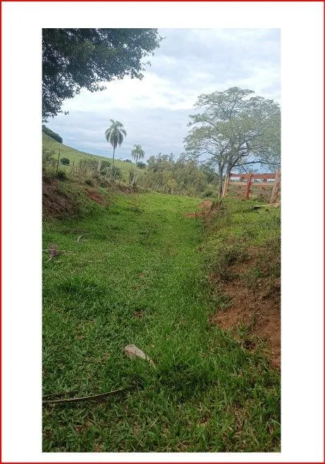 Área rural em Mundo Novo, São Pedro do Sul