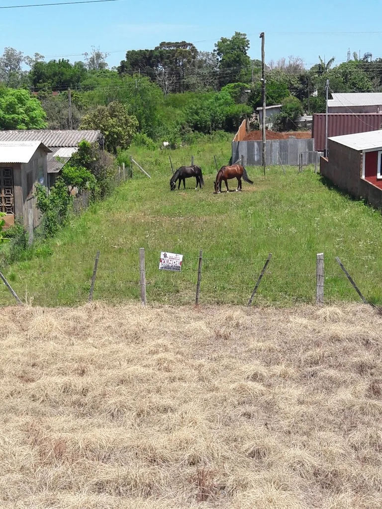 Terreno em Boi Morto, Santa Maria, foto 1