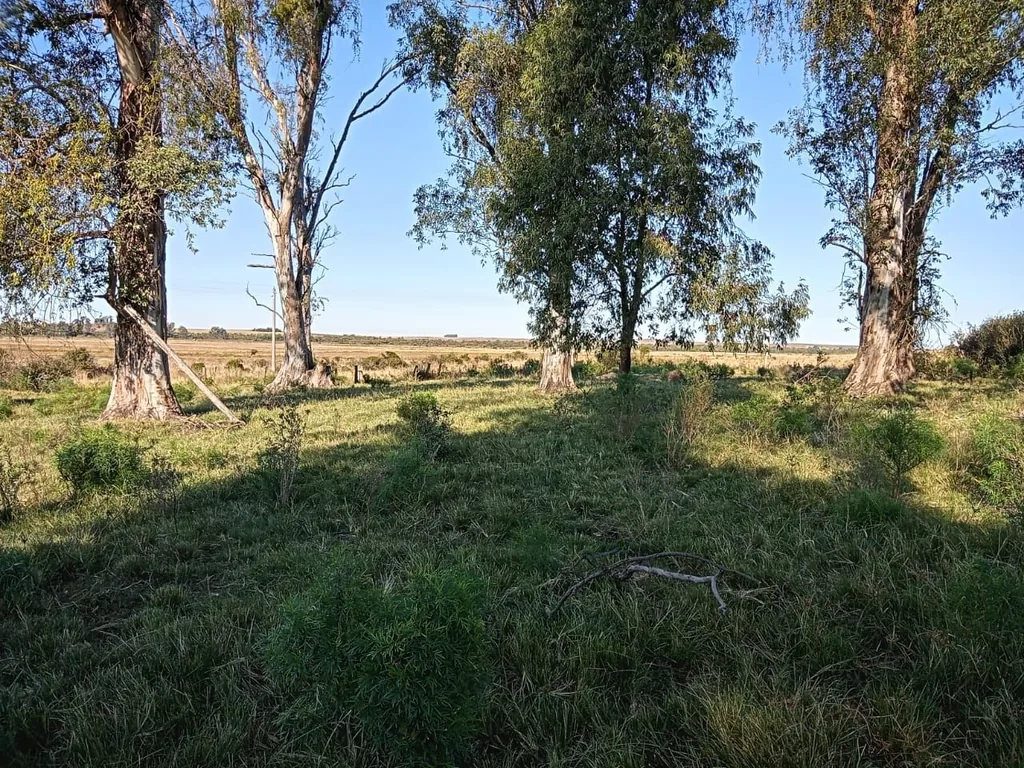 Área rural em Zona Rural, Cacequi, foto 2