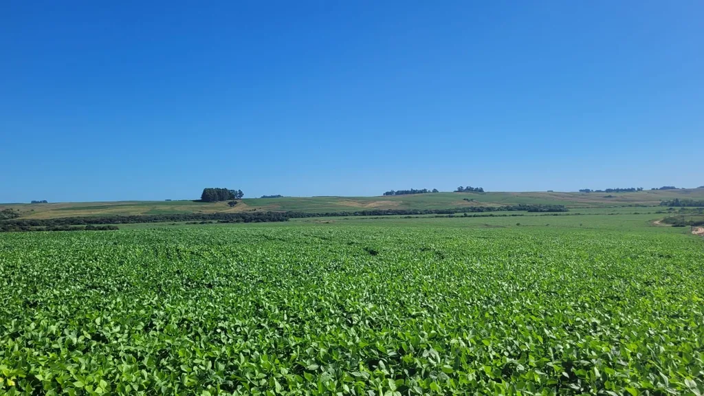 Área rural em Interior, São Gabriel