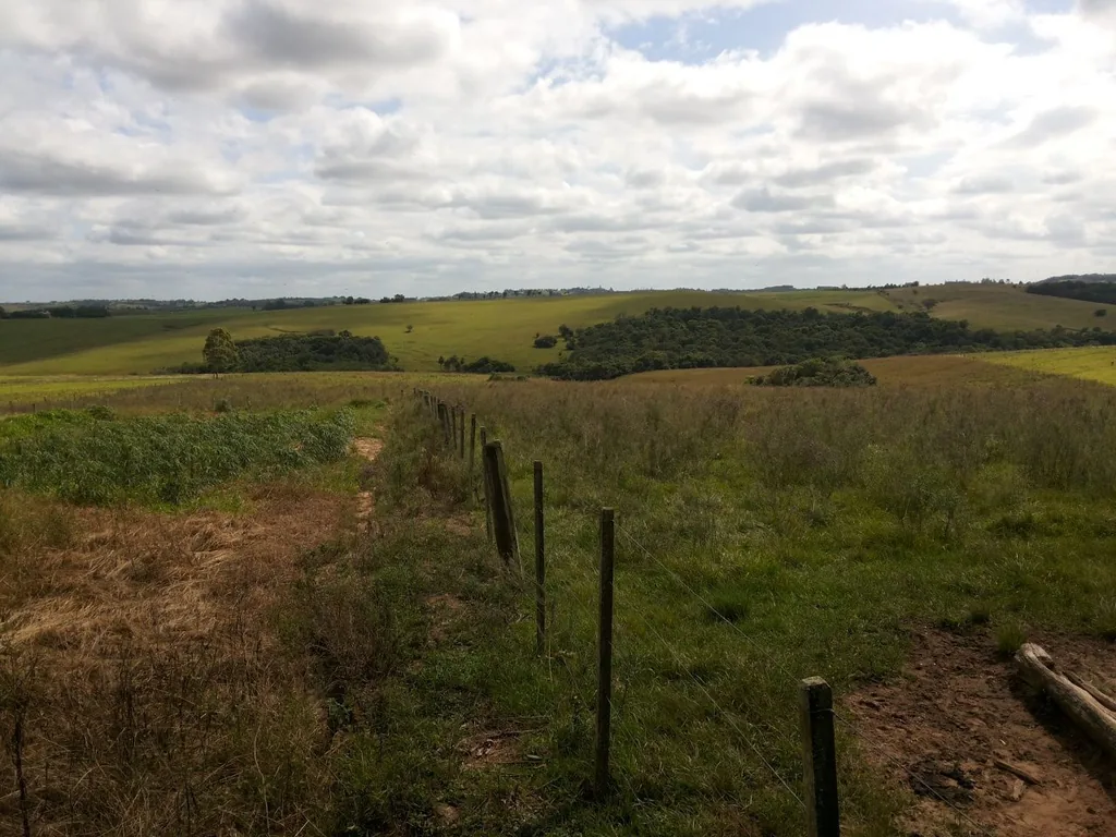 Área rural em Centro, Santa Maria, foto 2