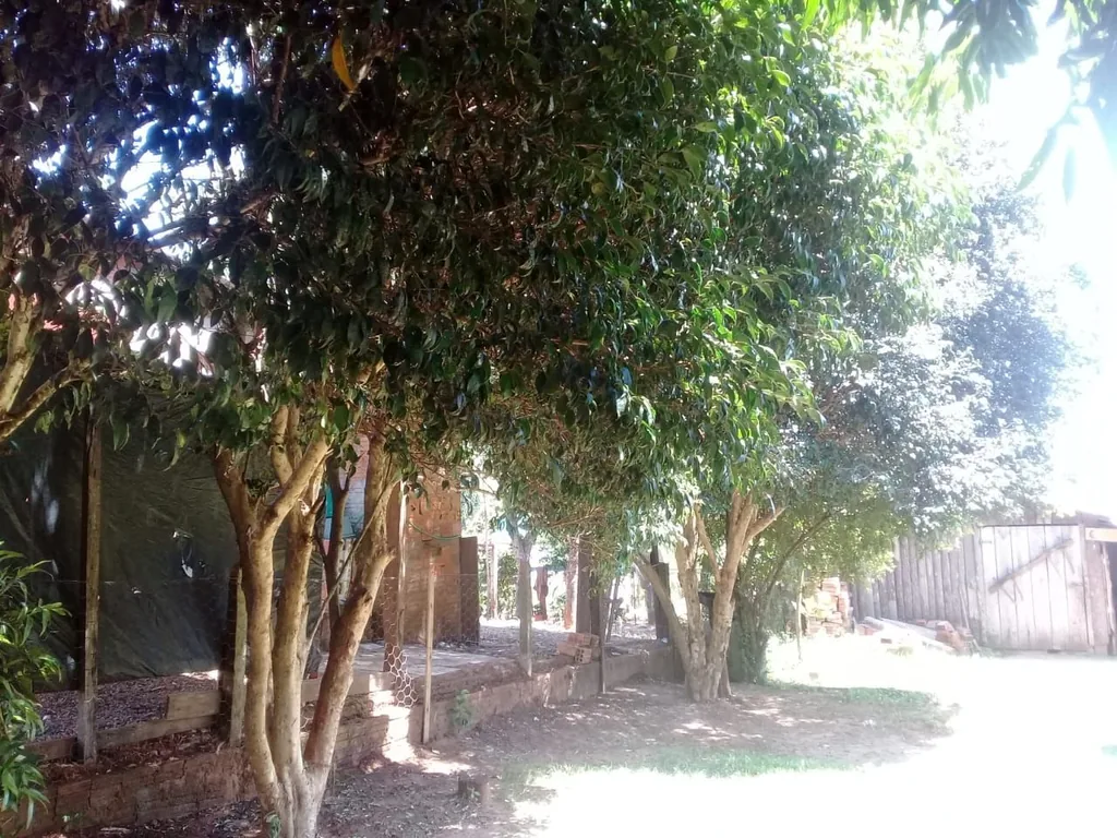 Casa em Centro, Dilermando de Aguiar, foto 2