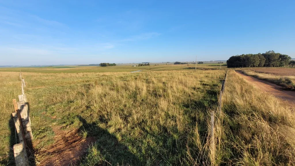 Área rural em Corredor da Balança, São Gabriel, foto 2