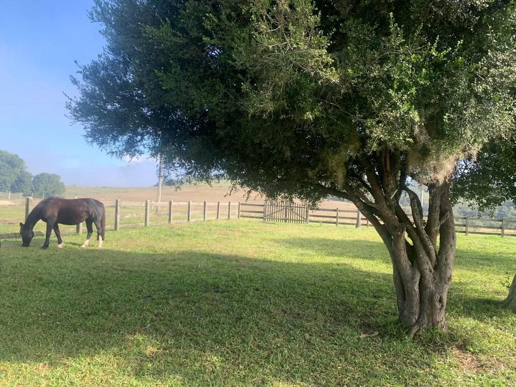Sítio em Floresta, Bagé, foto 3