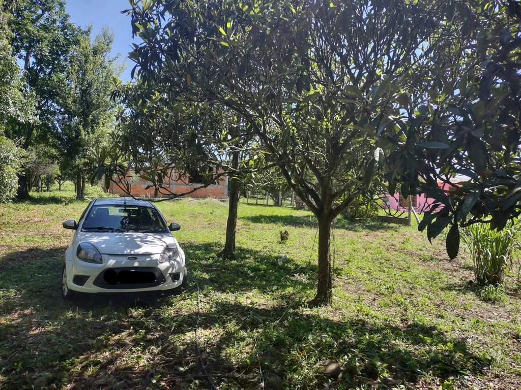 Sítio em Arroio do Só, Santa Maria, foto 3