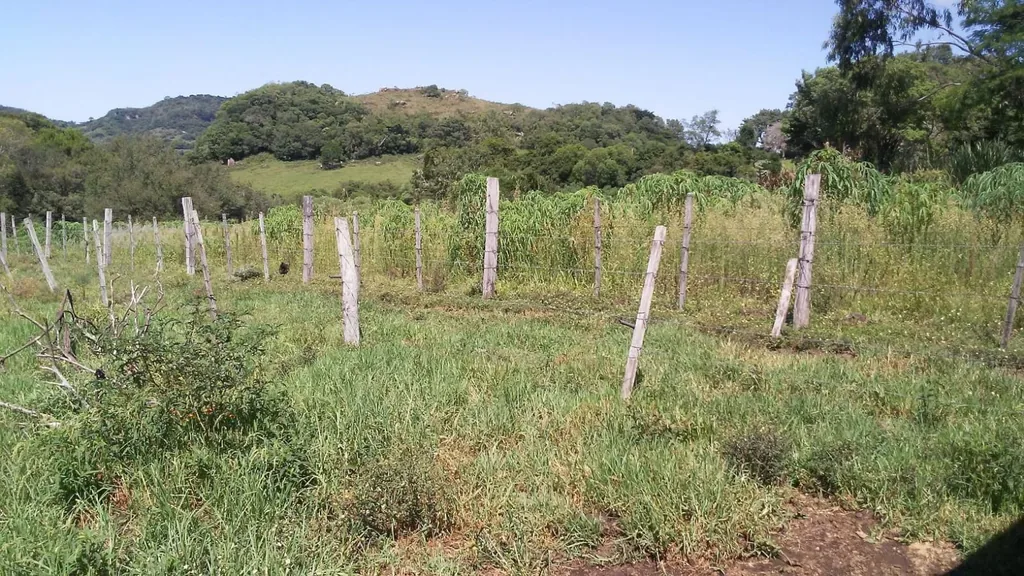 Área rural em Santo Antão, Santa Maria, foto 3