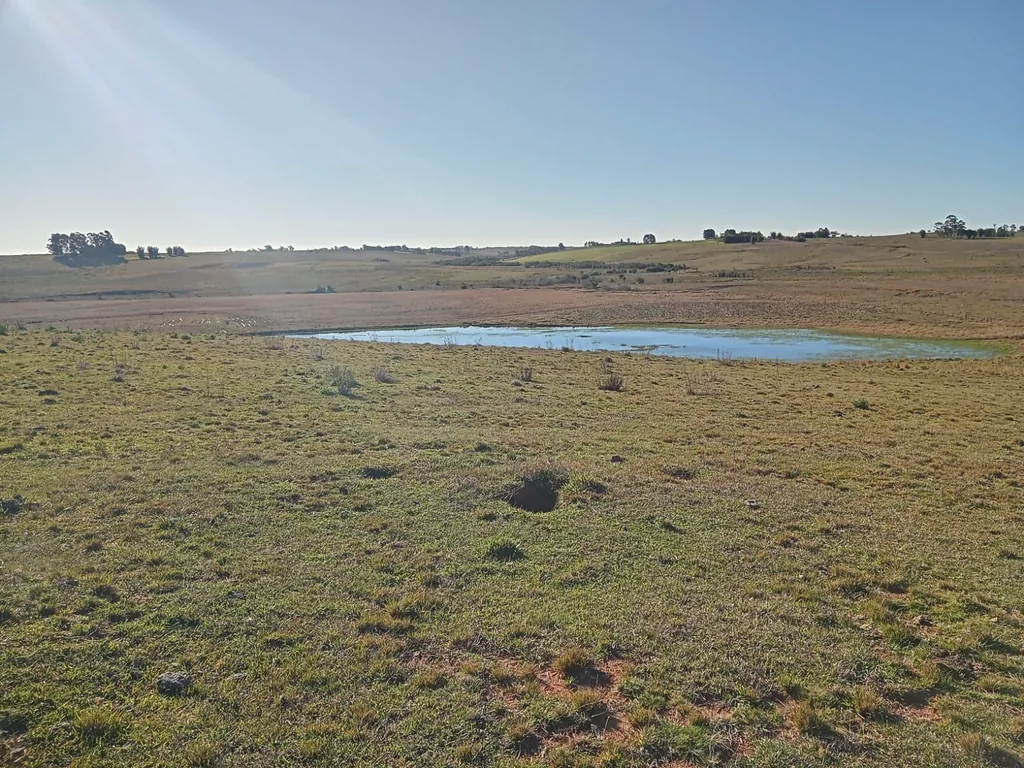 Área rural em Catuçaba, São Gabriel
