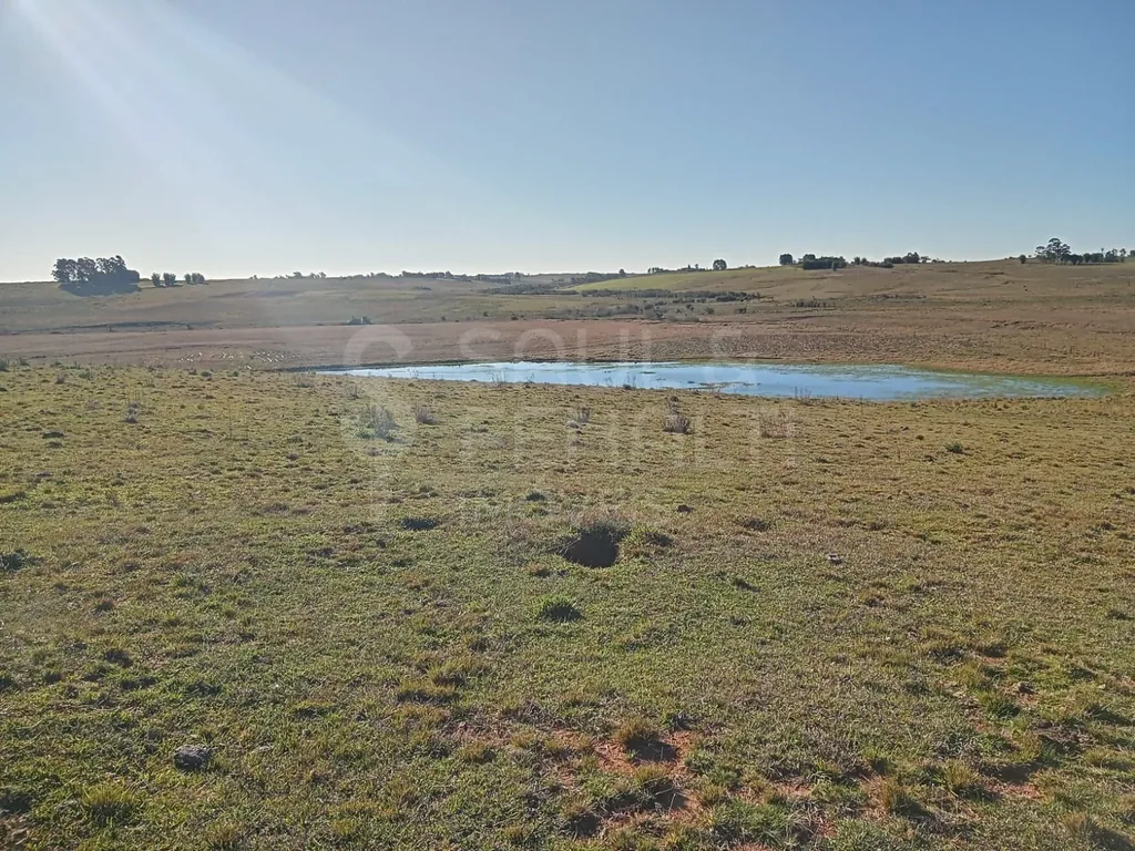 Campo em Catuçaba, São Gabriel
