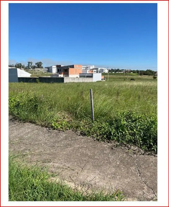 Terreno em Pinheiro Machado, Santa Maria, foto 3