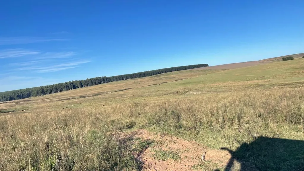 Sítio em Zona Rural, Cacequi, foto 2